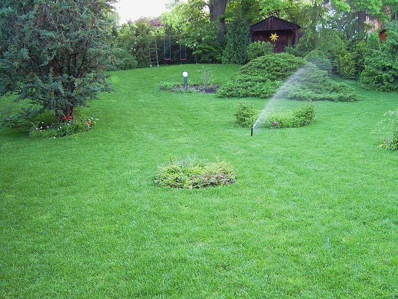 Frühjahrsdünger Rasen, Rollrasen Landkreis Leipzig