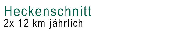 Rollrasen, Rollrasen verlegen, Kunstrasen, Galabau, Parthenstein, Mittelsachsen, Nordsachsen, Leipzig, Dresden, Halle, Bad Dürrenberg, Chemnitz, Görlitz, Leipziger Land, Muldental, Sachsen, Sachsen Anhalt, Thüringen, Brandenburg, Berlin